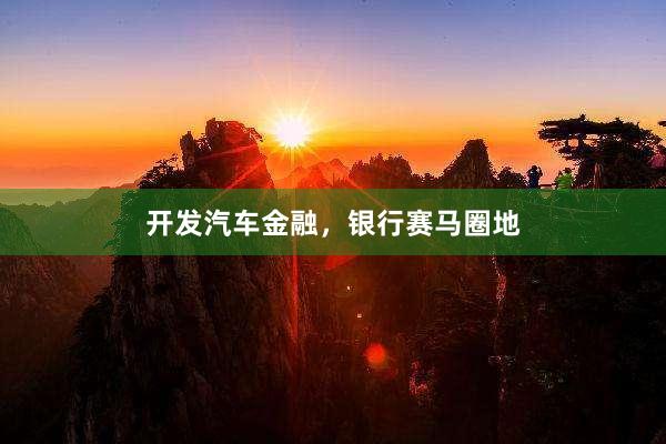 开发汽车金融，银行赛马圈地